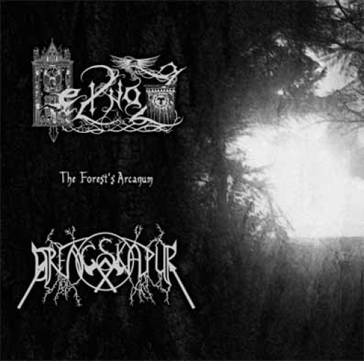 Drengskapur / Heilnoz - The Forests Arcanum CD