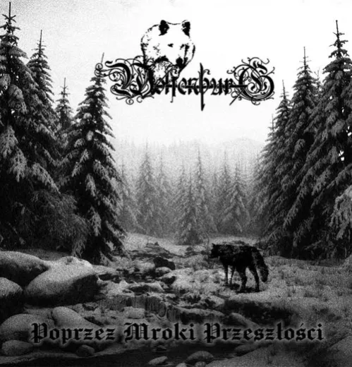 WOLFENBURG - Poprzez Mroki Przeszłości CD