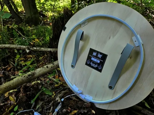 RUNENWACHT - beleuchtetes Kampfschild mit Wappen