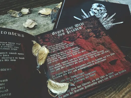 FELDGRAU - Furor Teutonicus CD