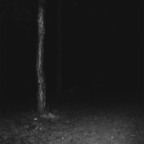 WAMPYRIC RITES - Demo III