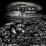 Feldgrau - Feuer und Blut MCD