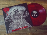 BLUTSTURM - Detonation Of Hate Gatefold red-transparent Vinyl