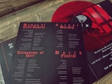 BLUTSTURM - Detonation Of Hate Gatefold red-transparent Vinyl