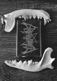 ENTHRONED – Promo 94 (2025) Tape