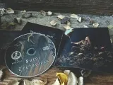 FELDGRAU - Furor Teutonicus CD