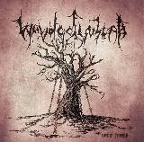 WALDGEFLÜSTER - Meine Fesseln CD