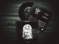 Surturs Lohe - Wioland 7 Vinyl EP