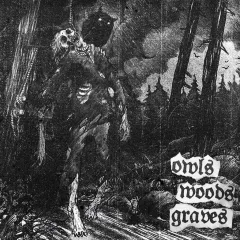 OWLS WOODS GRAVES - Owls Woods Graves Black Vinyl