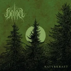 HORN - Naturkraft Dopplel Vinyl green marble