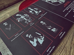 BLUTSTURM - Detonation Of Hate Gatefold red-transparent Vinyl