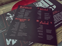 BLUTSTURM - Detonation Of Hate Gatefold red-transparent Vinyl